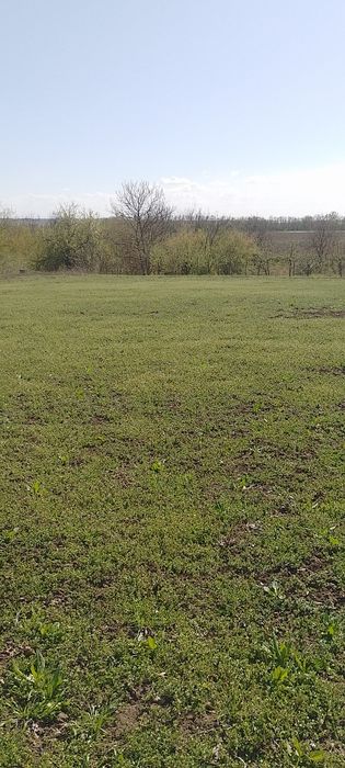 Продаж земельної ділянки с.Бобриця Канівський район