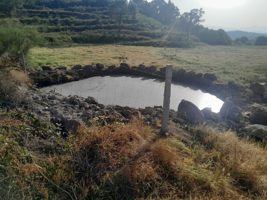 Quinta de 3 hectares em localização espectacular