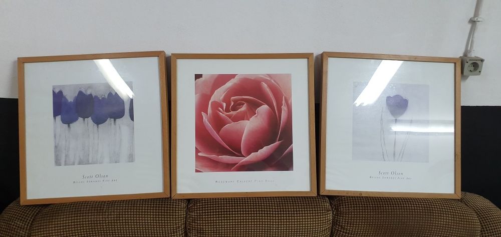 Quadro decorativos