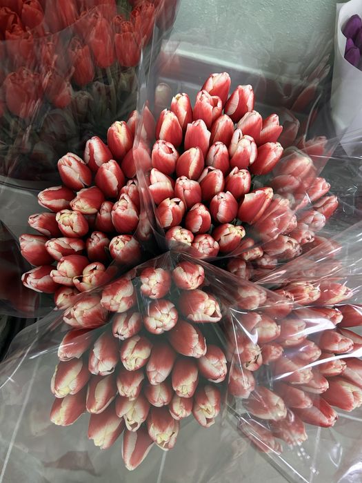 Доставка квітів Черкаси,тюльпани Черкаси