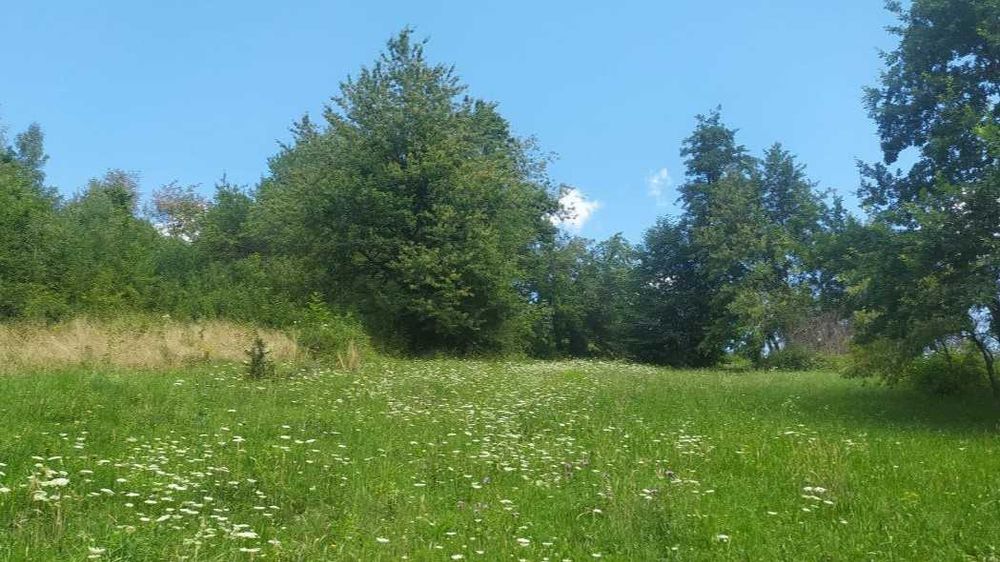 Будинок з шикарним краєвидом, з ділянкою 12с