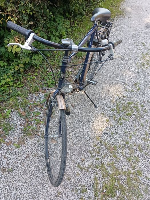 Rower holenderski