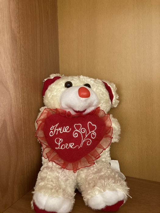 Miś pluszak dla ukochanej osoby