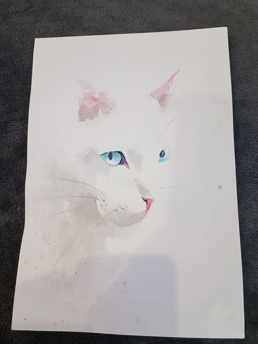 Малюнок, рисунок Кота