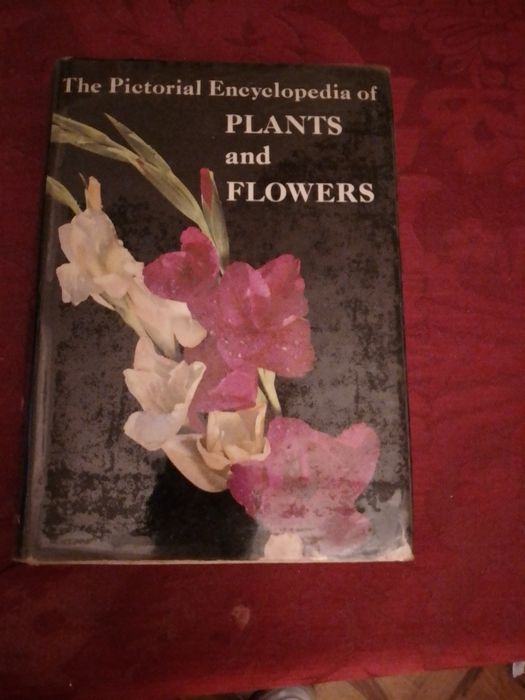 The Pictorial E.Plants and Flowers-F.A.N.-15E-PoderAlimentos5EDesde2E