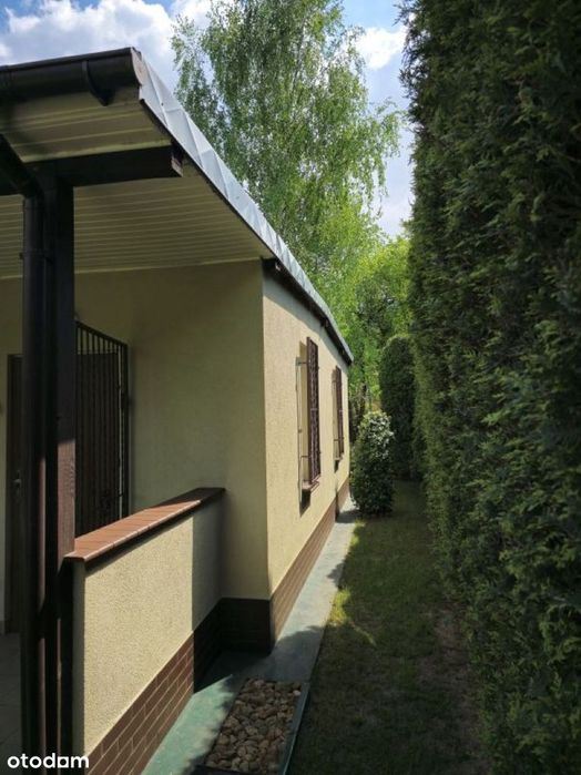 Sprzedam bardzo atrakcyjną działkę ROD w Złotkowie 300m z domem 36m - Widok 2