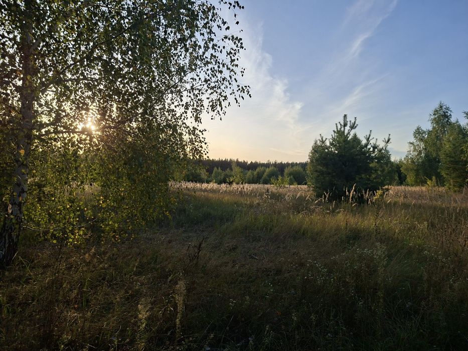 Ділянка 57 соток в класній локації біля лісу