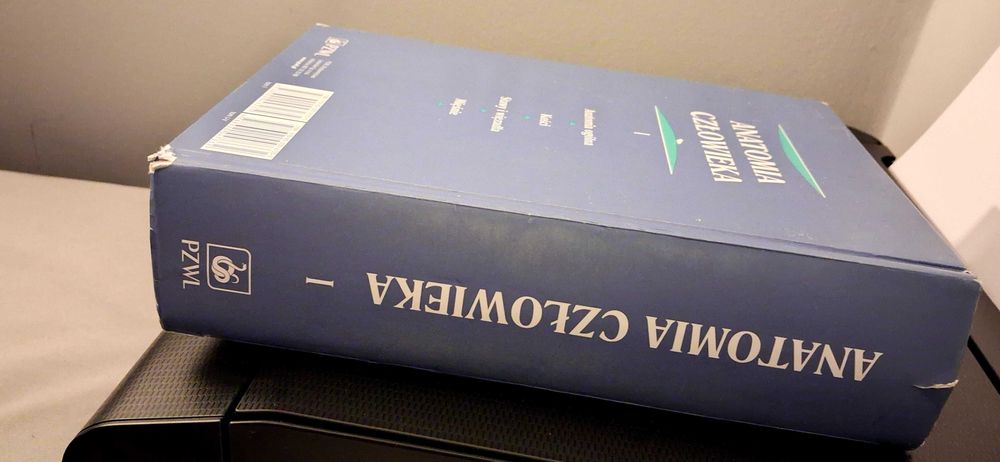 Anatomia człowieka Tom I / Tom 1 Adam Bochenek Michał Reicher