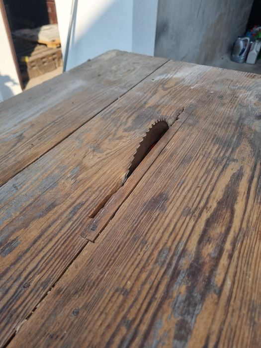 Piła stołowa duża