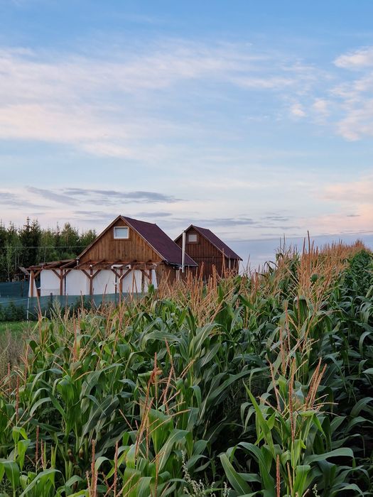 "Zaplecze Lasu" Domki całoroczne z balią drewniane domki z jacuzzi