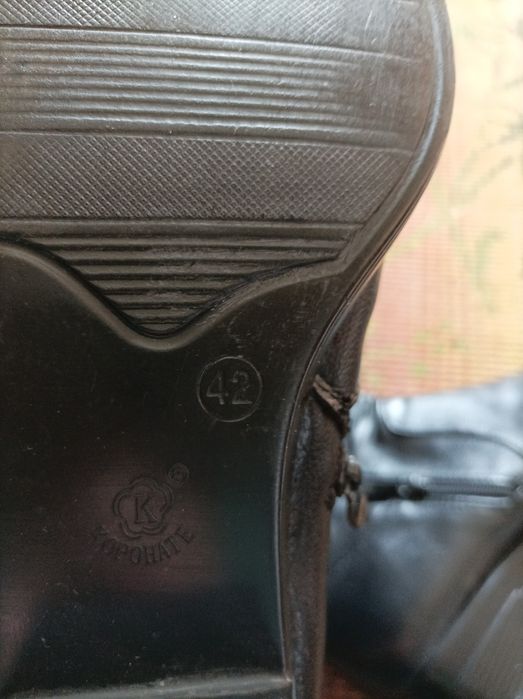 Женские сапоги на осень и зиму