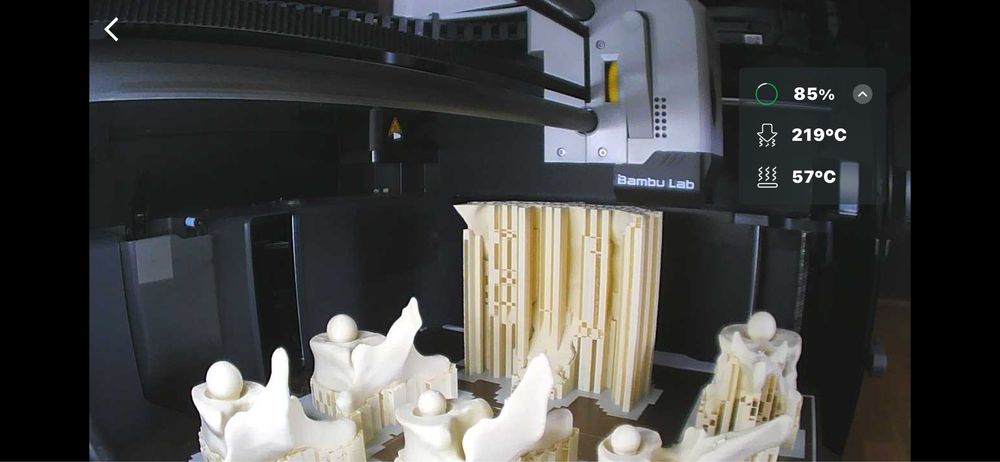 Anatomia model czaszki do nauki z druku 3D
