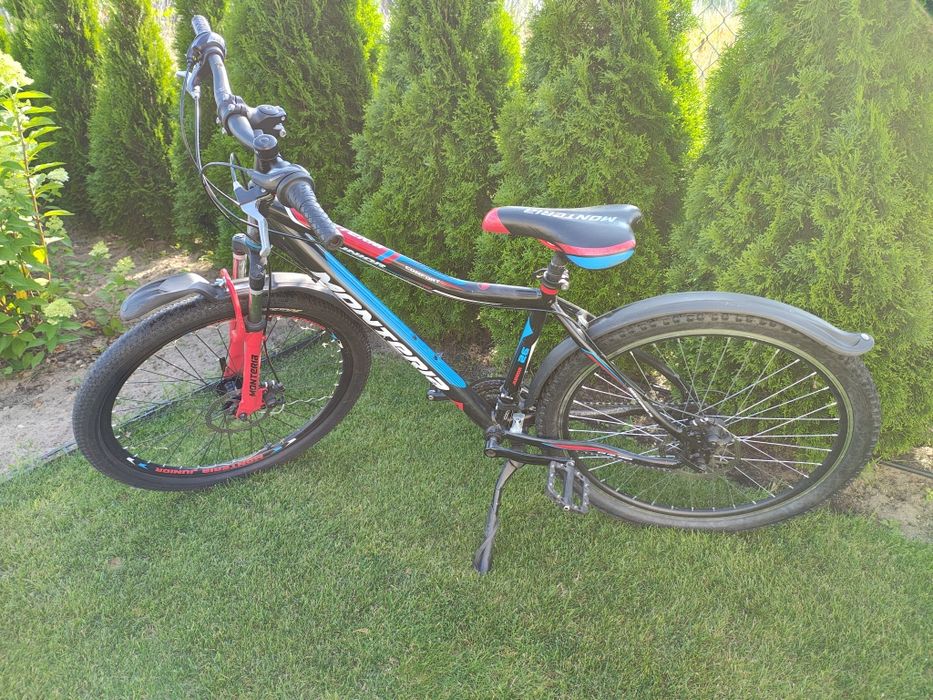 Rower Monteria Junior 26