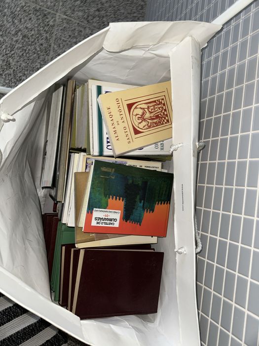 Lote livros variados