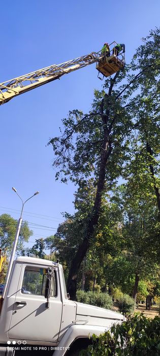 Покос трави Спил Аварійних Дерев