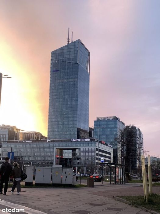 Albatross Towers Olivia Business Centre, Alchemia, Uniwersytet