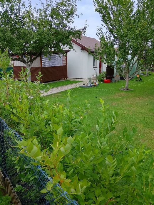 TYCHY ROD Wiertacz 270 m2 Świetnie Zagospodarowana