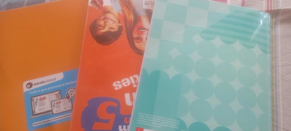 Livros de fichas 5ª ano