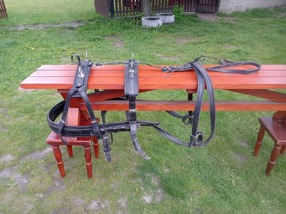 Uprząż szory dla konia hucuł małopolski