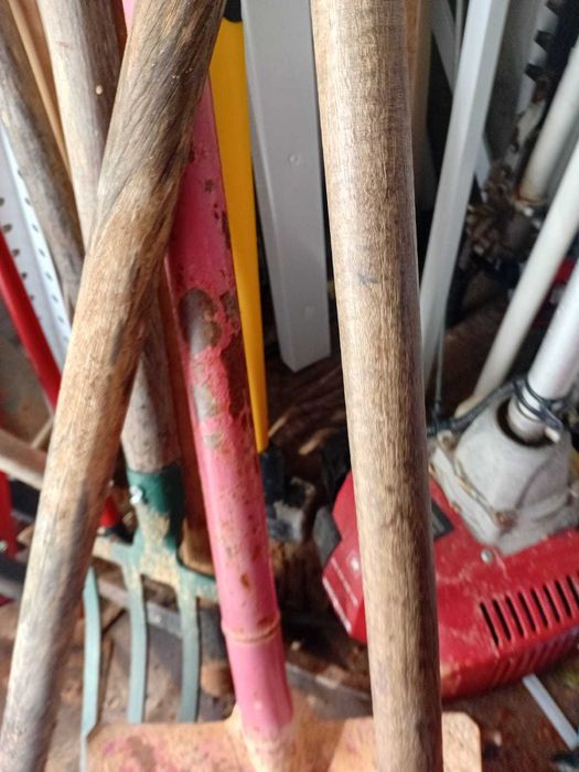 um conjunto de ferramentas, principalmente para jardinagem