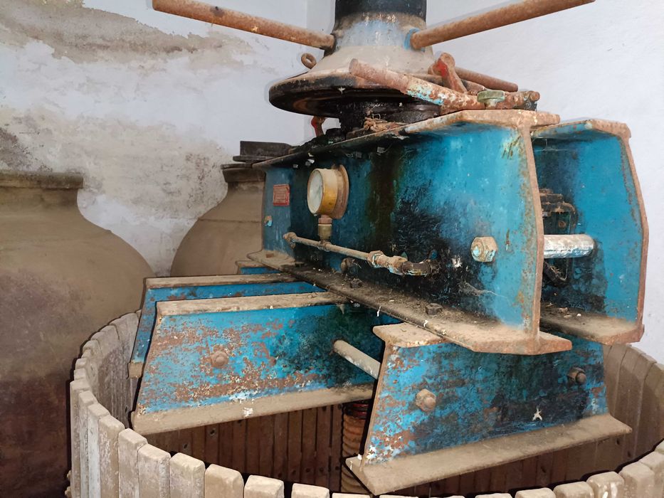 Adega antiga desativada