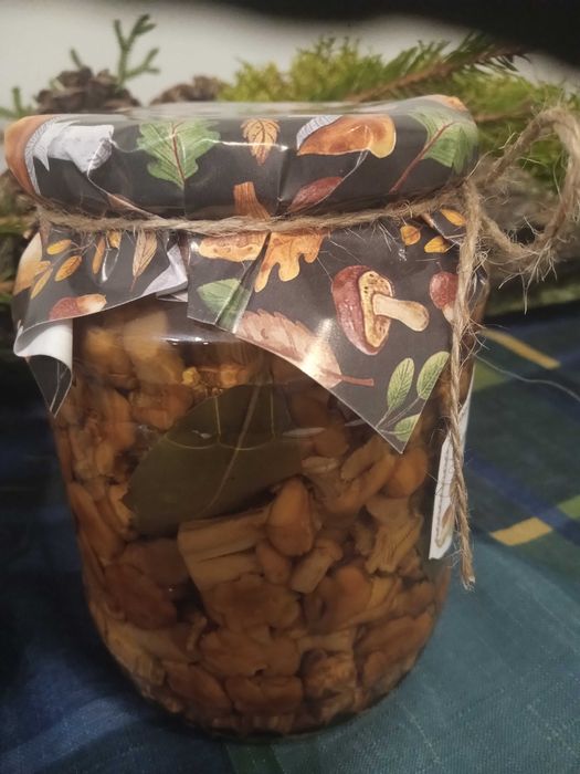 Grzyby kurki w sloiku