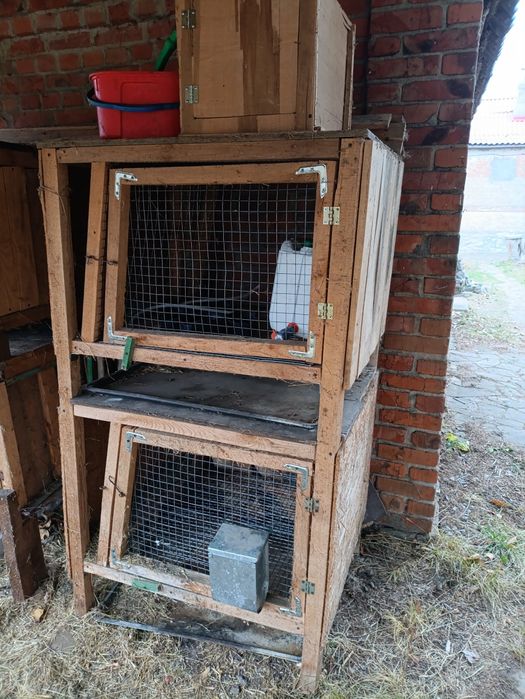 Клетки для кроликов