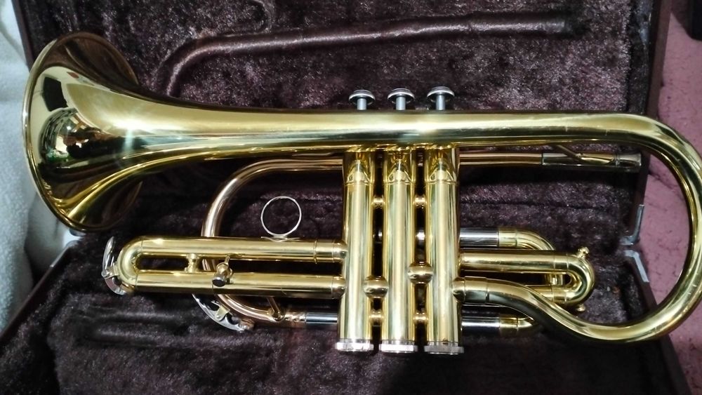 Cornetim Yamaha 2330