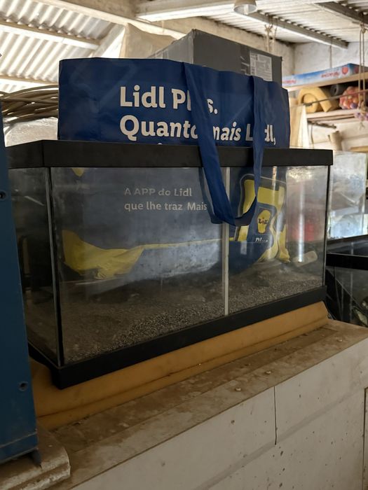Aquarios e acessorios