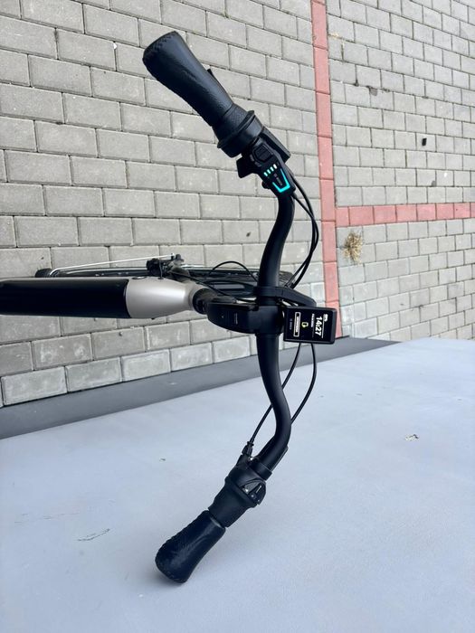 Gazelle Grenoble c8+ Bosch  Performance Smart d53 (160-175cm)