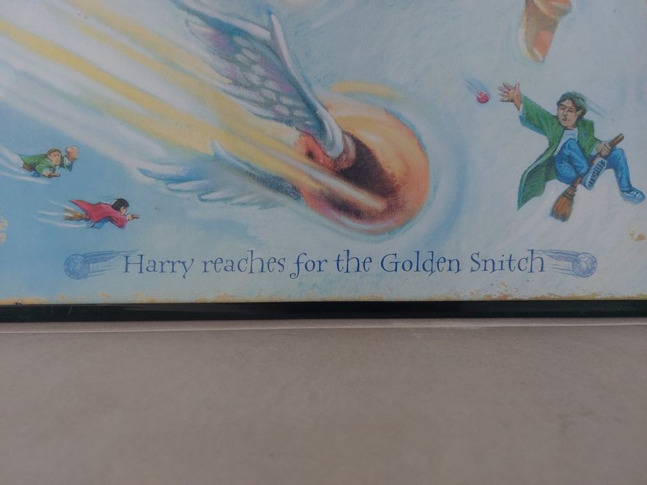 Harry potter quadro