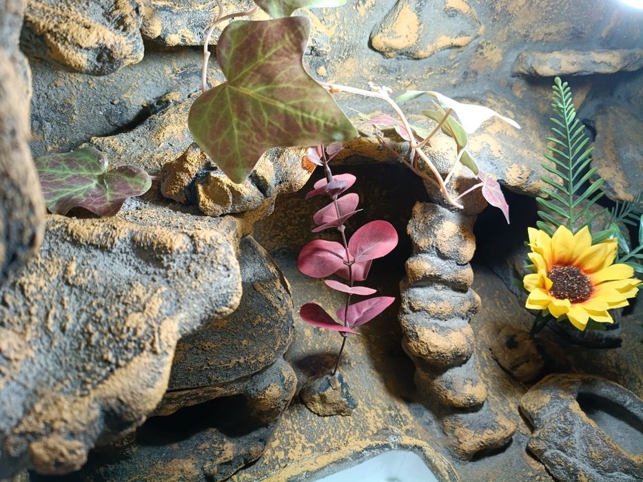 Terrarium z płyty meblowej