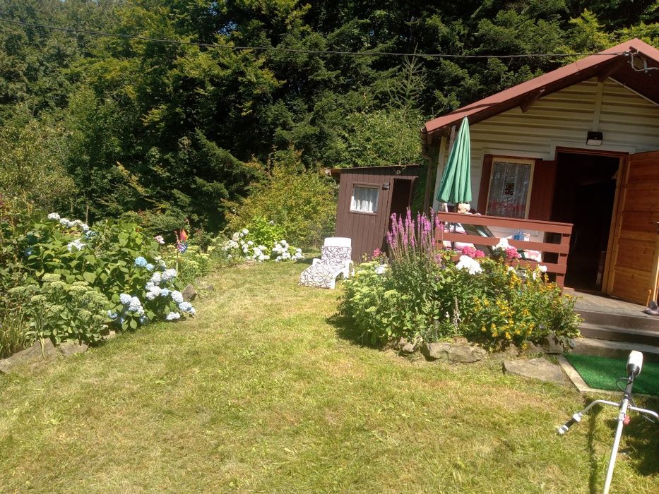 Sprzedam dwie działki przy lesie.