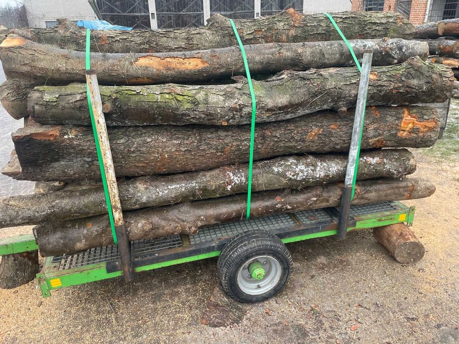 Drewno, drzewo do wędzenia, wędzarni (Olcha, Wiśnia)