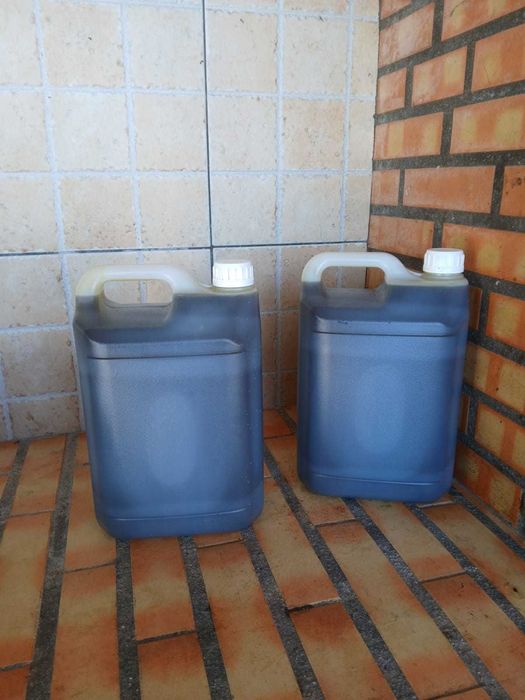 Agricultura, Azeite