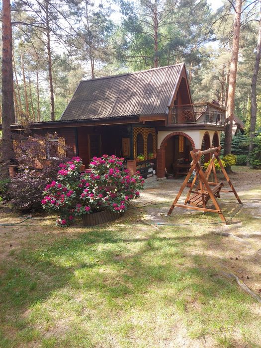 Wynajmę domek w Kobylej Górze