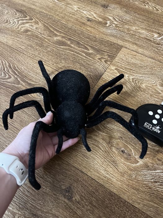 Катер на радіокеруванні, лодка , дитячий автомат , павук чорна вдова