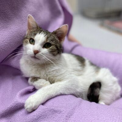 Doris szuka wspaniałej rodziny