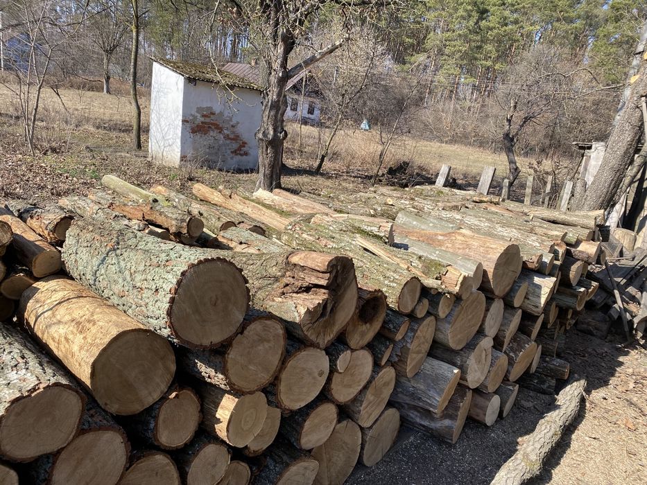 Дрова паливні продам