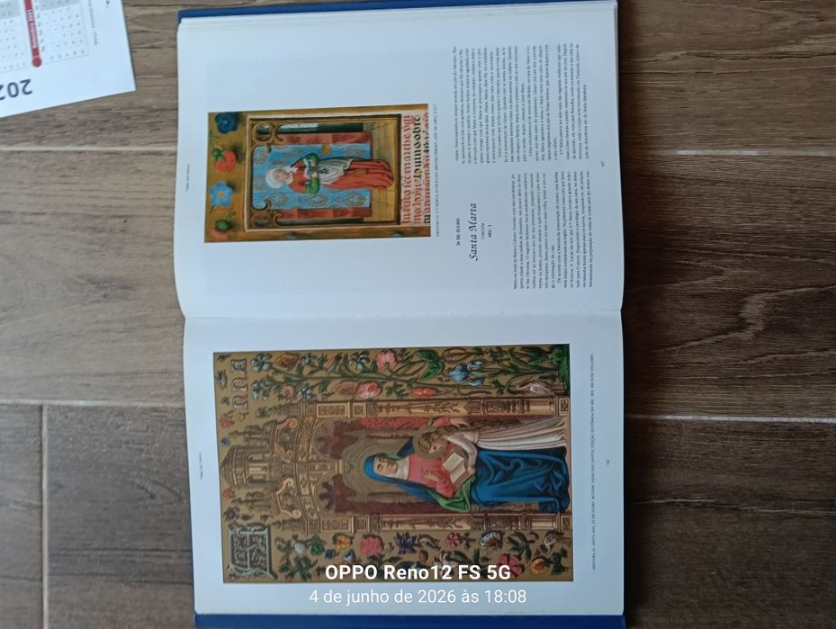 Livro Vidas dos Santos