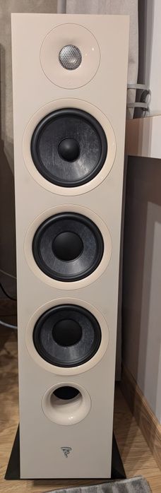 Kolumny Focal chora 826