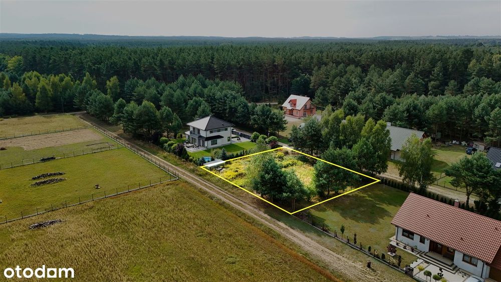 Pęciszów koło Trzebnicy/otoczenie lasów