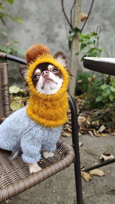 Комплект Шапка і шарф