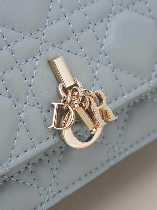 DIR Жіночий клатч Louis Vuitton