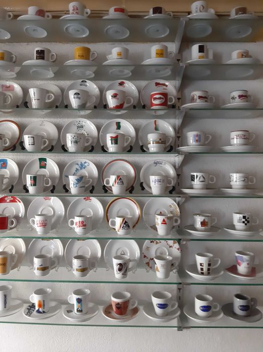 Coffee Bean Specimens64297946648194122