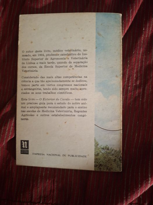 O exterior do Cavalo hipismo equitação