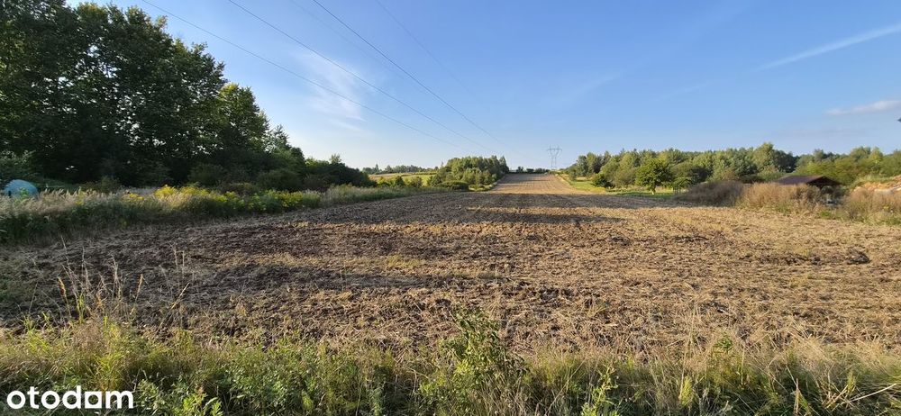 Działka rolno-budowlana w spokojnej okolicy - Widok 3