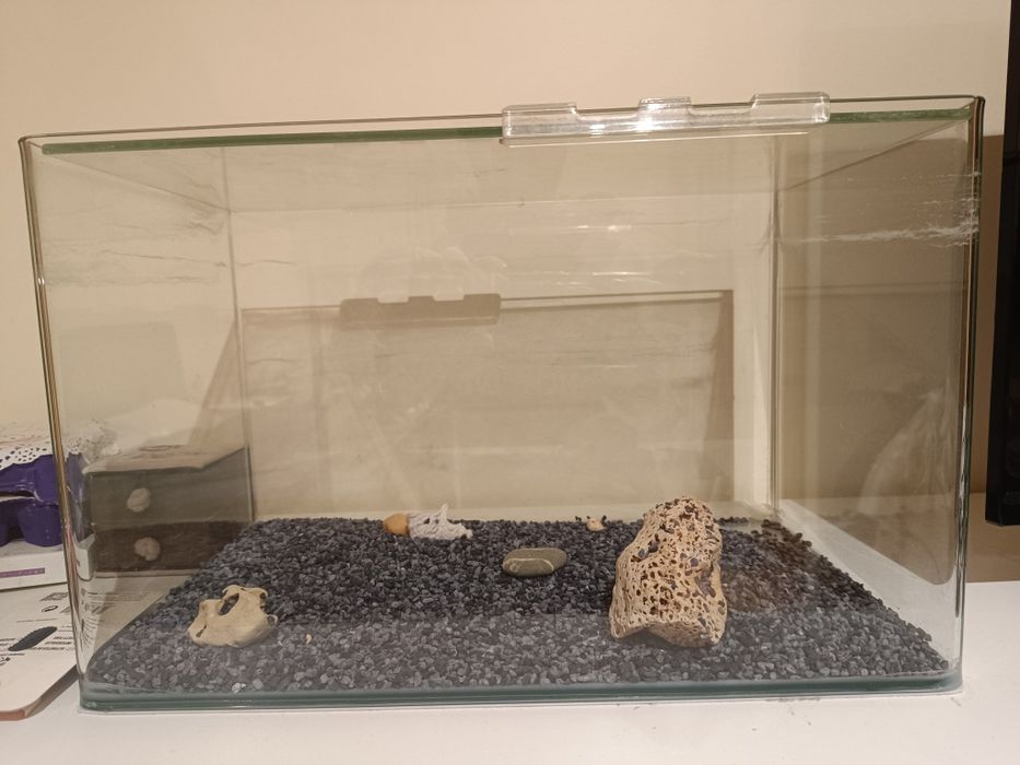 Aquário com capacidade para 20L