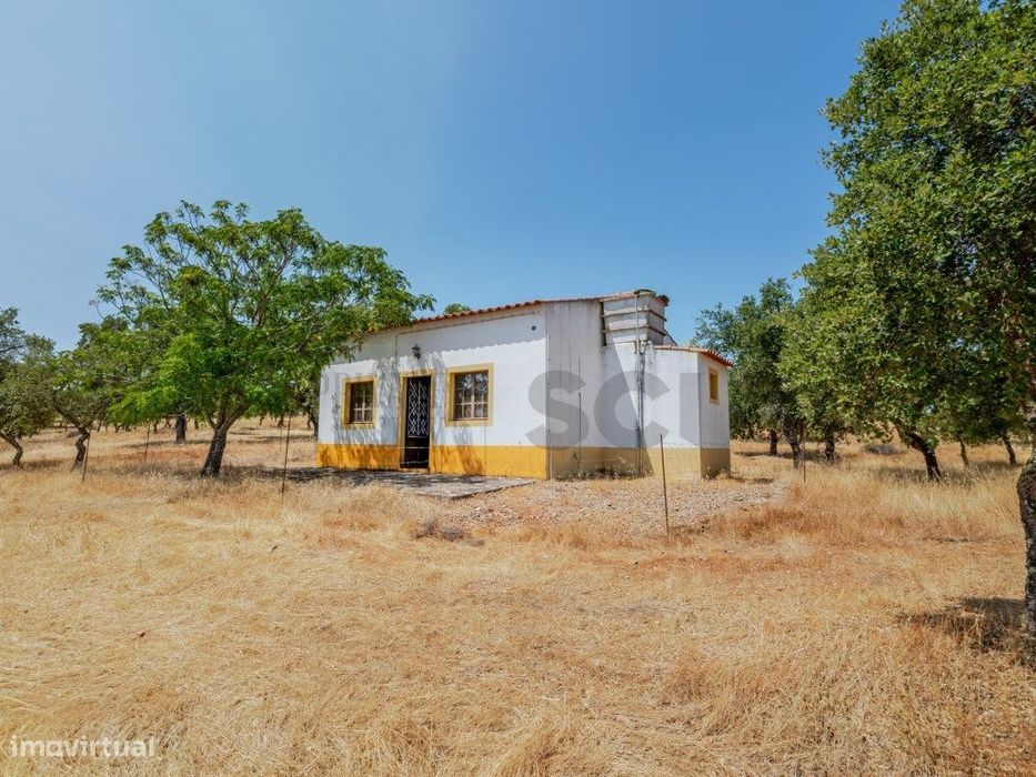 Quinta T2 em Serpa | Vista para a barragem