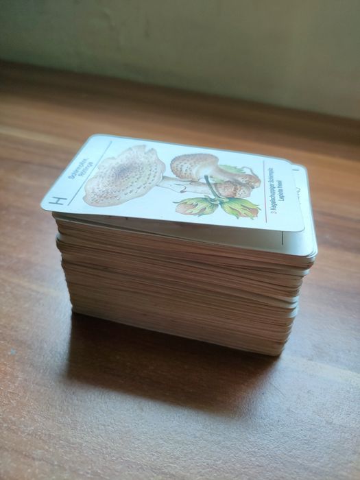 Karty edukacyjne grzyby PRL